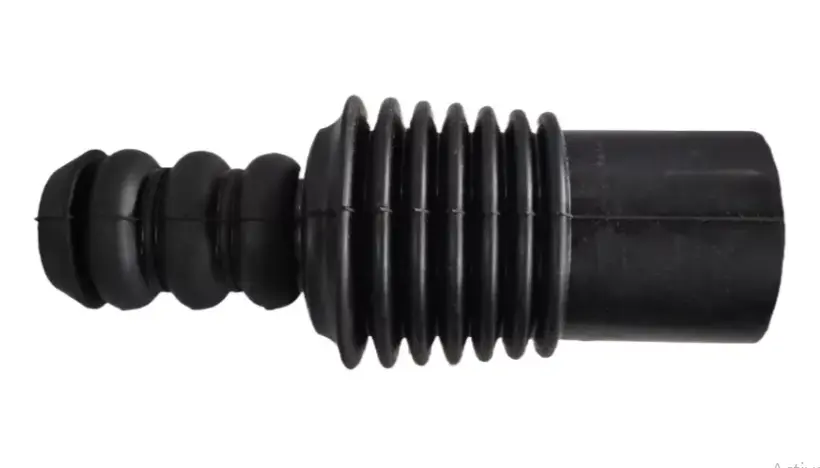 RPLATINA_DEL PAG WEB.webp