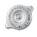 TR2E9 - TAPON RADIADOR 9 LIBRAS TSURU (88-17) NISSAN D21(06–09)