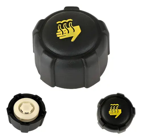 21430AX600-LOTO - TAPON DEPOSITO ANTICONGELANTE PLATINA CLIO MEGANE