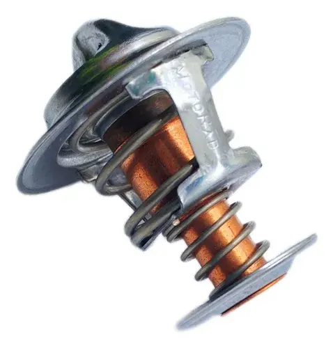 2120077A00-LOTO - TERMOSTATO TSURU III