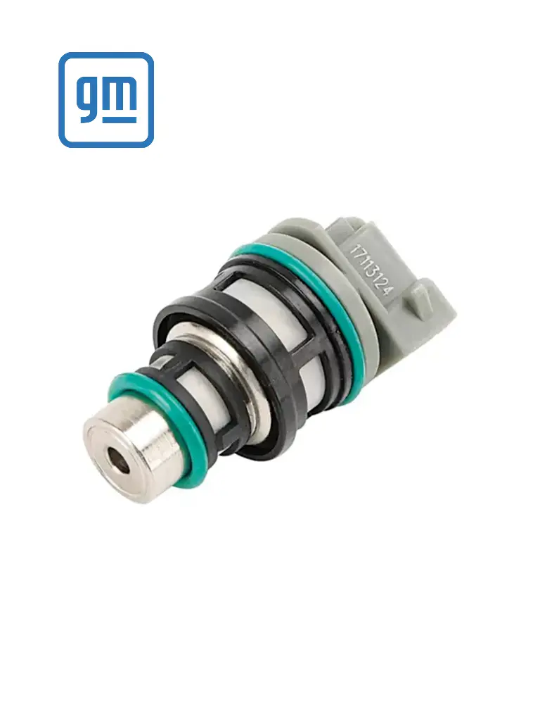 17113124-LOTO - INYECTOR CALIVER , S10 , SUNFIRE 2.2L