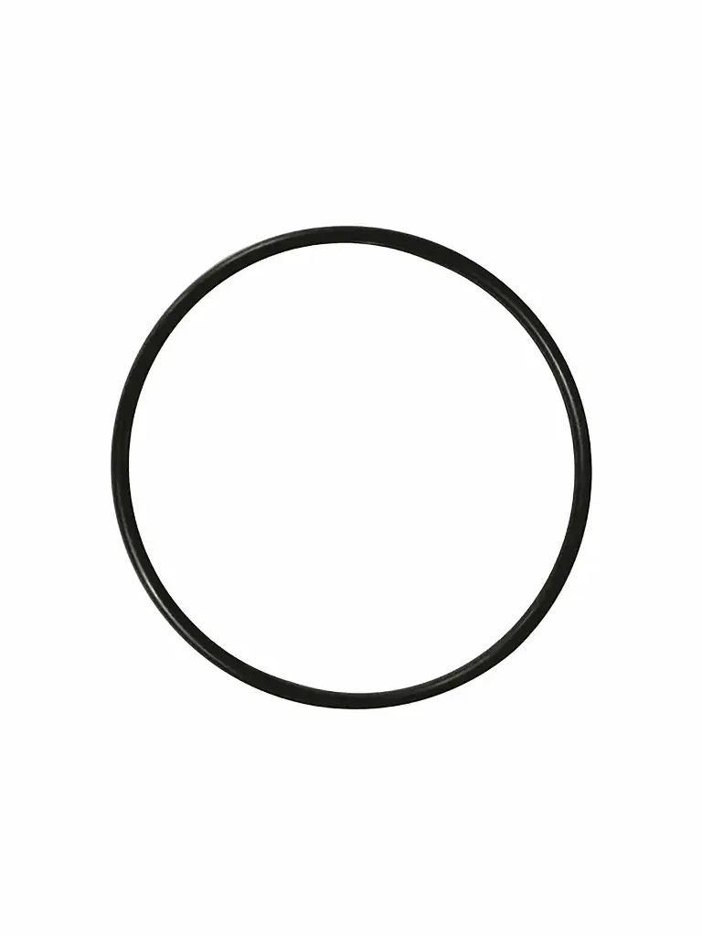 LT-424-LOTO - ORING BOMBA GAS CHEVY