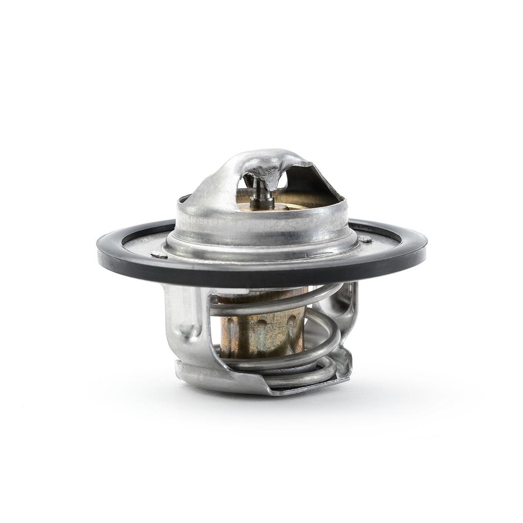 2120000QAA-LOTO - TERMOSTATO DE PLATINA