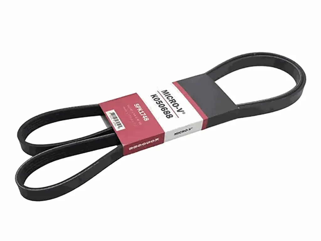 T1095-LOTO - BANDA PLATINA GATES